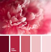Image result for Motion Graphics Gradient Color Palette