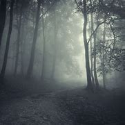Image result for Dark Spooky HD Forest Wallpaper