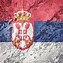 Image result for Islamic Serbian Flag