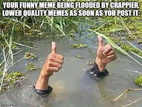 Image result for Meme Fine Dog in Flood