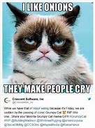 Image result for Popular Memes Grumpy Cat