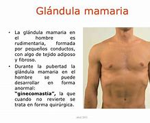 Image result for agrandamuento