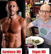 Image result for Vegan vs Carnivore