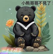 Image result for Yoyo 黑熊哥哥