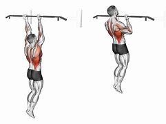 Image result for Chin Up Muscles