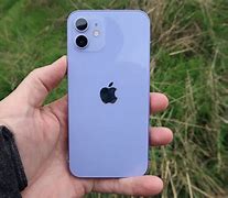 Image result for iPhone 12 Purple Vs. Green