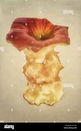 Image result for Rotten Apple Core