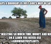 Image result for Drought Meme