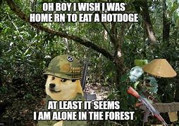 Image result for Vietnam Doge Meme