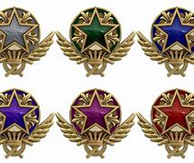 Image result for CS:GO Sevice Medals