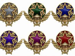Image result for CS:GO Aervice Medal