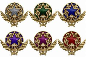 Image result for CS:GO Service Medals Colors