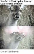 Image result for Bambi Live-Action Meme