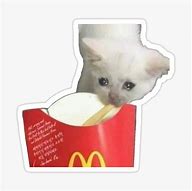 Image result for French Fry Cat Meme