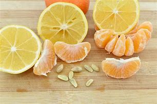 Image result for Apple and Orange Seeds