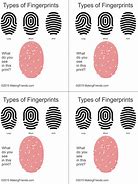 Image result for Fingerprint Types for Kids