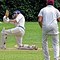 Image result for Cricket Hit