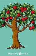 Image result for Delicious Apple Trees