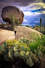 Image result for Arizona Drawing