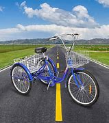 Image result for Three Wheel Bike for Elderly