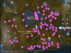Image result for Ganze Landkarte MIT Alle Schreine Zelda