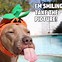 Image result for SUP Dog Meme