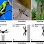 Image result for Types of Grippers in Robotics