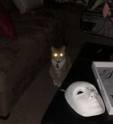 Image result for Cat Glowing Eyes Meme