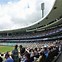 Image result for Big Roof Cricket