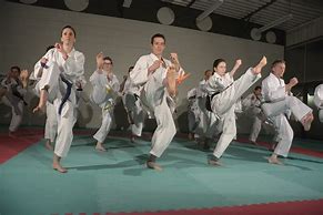 Image result for Kihon Karate