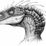 Image result for Jurassic Park Raptor Wallpaper