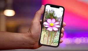 Image result for iPhone 12 Mini Picture Quality