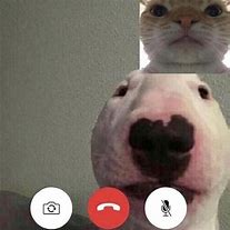 Image result for Funny Faces FaceTime