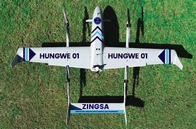 Image result for Zingsa Zimbabwe