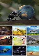 Image result for iPhone Older System Version Wallpapers