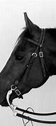 Image result for Curb Bit Horse