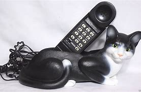 Image result for Black Cat On Phone