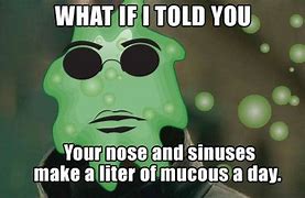 Image result for Mucus Meme