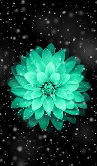 Image result for HD iPhone Wallpaper Teal