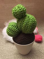 Image result for Crocheted Cactus
