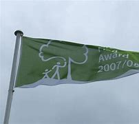 Image result for Green Flag Icon