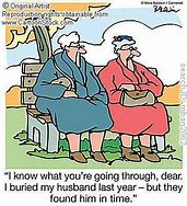 Image result for Frazzled Old Lady Cartoon