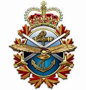 Image result for Canadian Armed Forces Armoured Officer