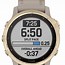 Image result for Garmin Fenix 6s Gold White