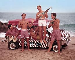 Image result for 60s Beach Aesthetic