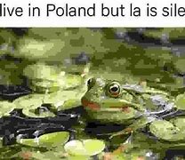 Image result for Nature Memes Funny