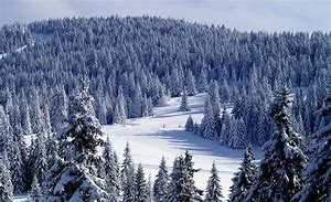 Image result for Serbia Winter Landscape Images