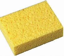 Image result for Sponge Indentation for Medicines