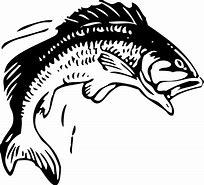 Image result for Free Clip Art Jumping Fish