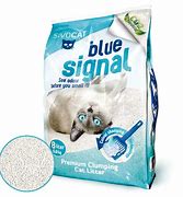 Image result for Sivocat Blue Signal